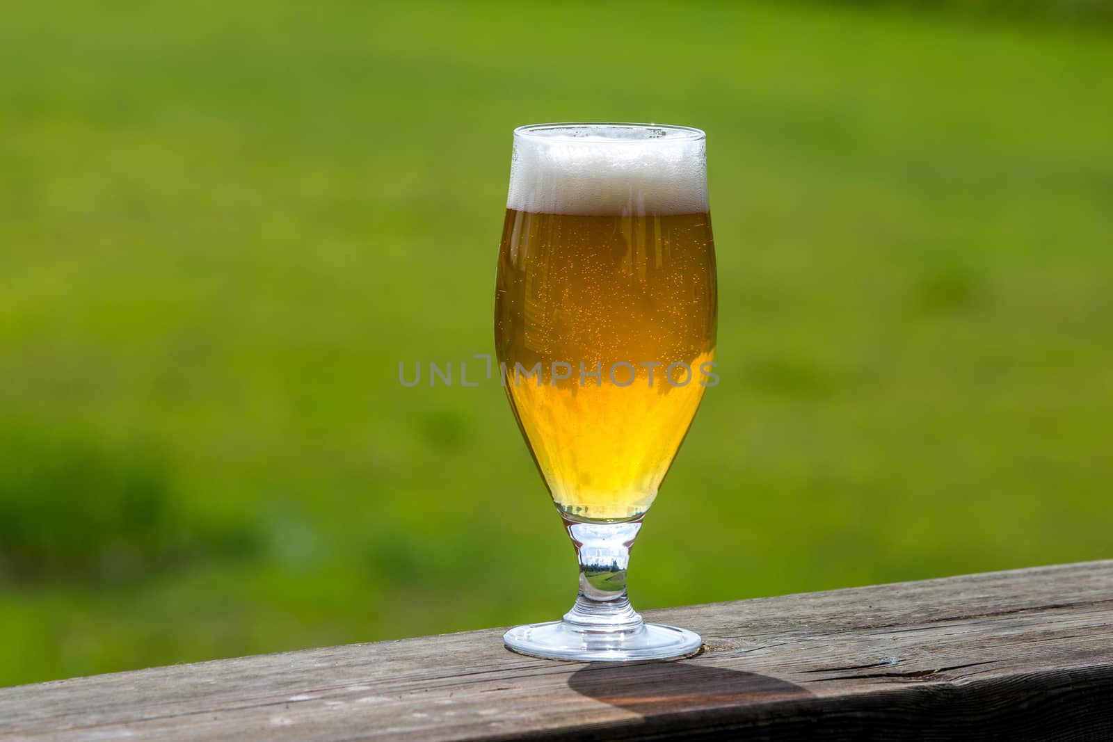 Glass of light beer with foam and bubbles on wooden table on green nature background. Beer is an alcoholic drink made from yeast-fermented malt flavoured with hops. 

