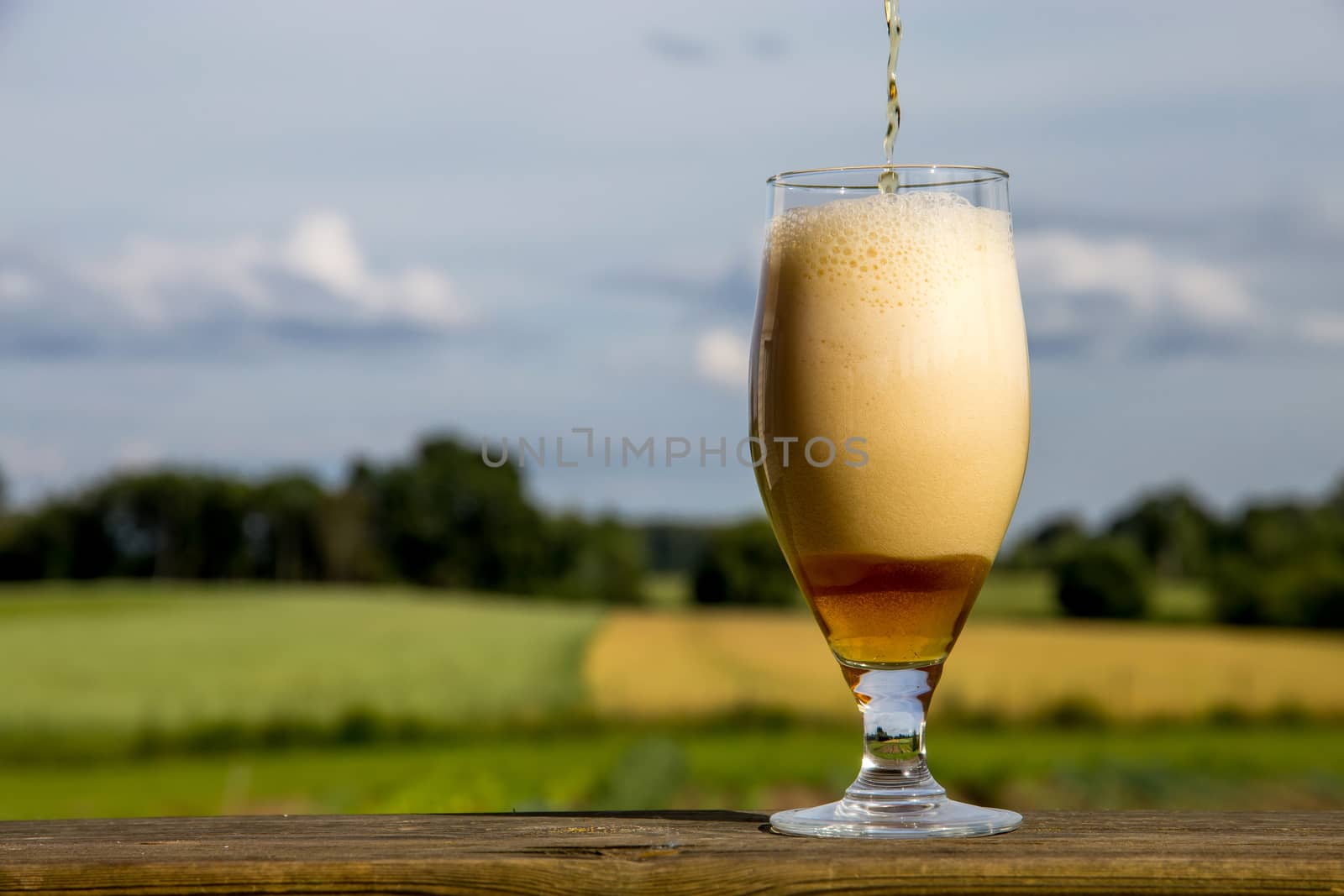 Glass of light beer with foam and bubbles on wooden table on summer landscape background. Beer is an alcoholic drink made from yeast-fermented malt flavoured with hops. 

