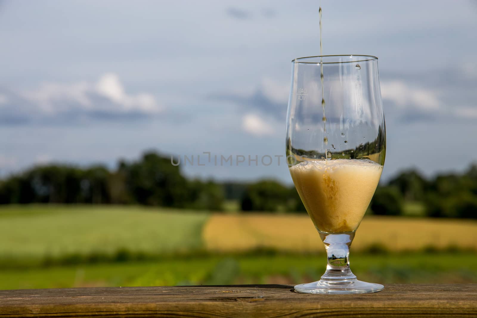 Glass of light beer with foam and bubbles on wooden table on summer landscape background. Beer is an alcoholic drink made from yeast-fermented malt flavoured with hops. 

