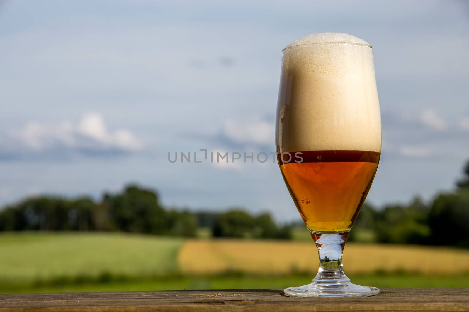Glass of light beer with foam and bubbles on wooden table on summer landscape background. Beer is an alcoholic drink made from yeast-fermented malt flavoured with hops. 


