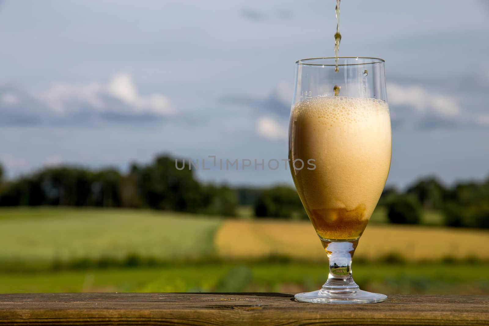 Glass of light beer with foam and bubbles on wooden table on summer landscape background. Beer is an alcoholic drink made from yeast-fermented malt flavoured with hops. 

