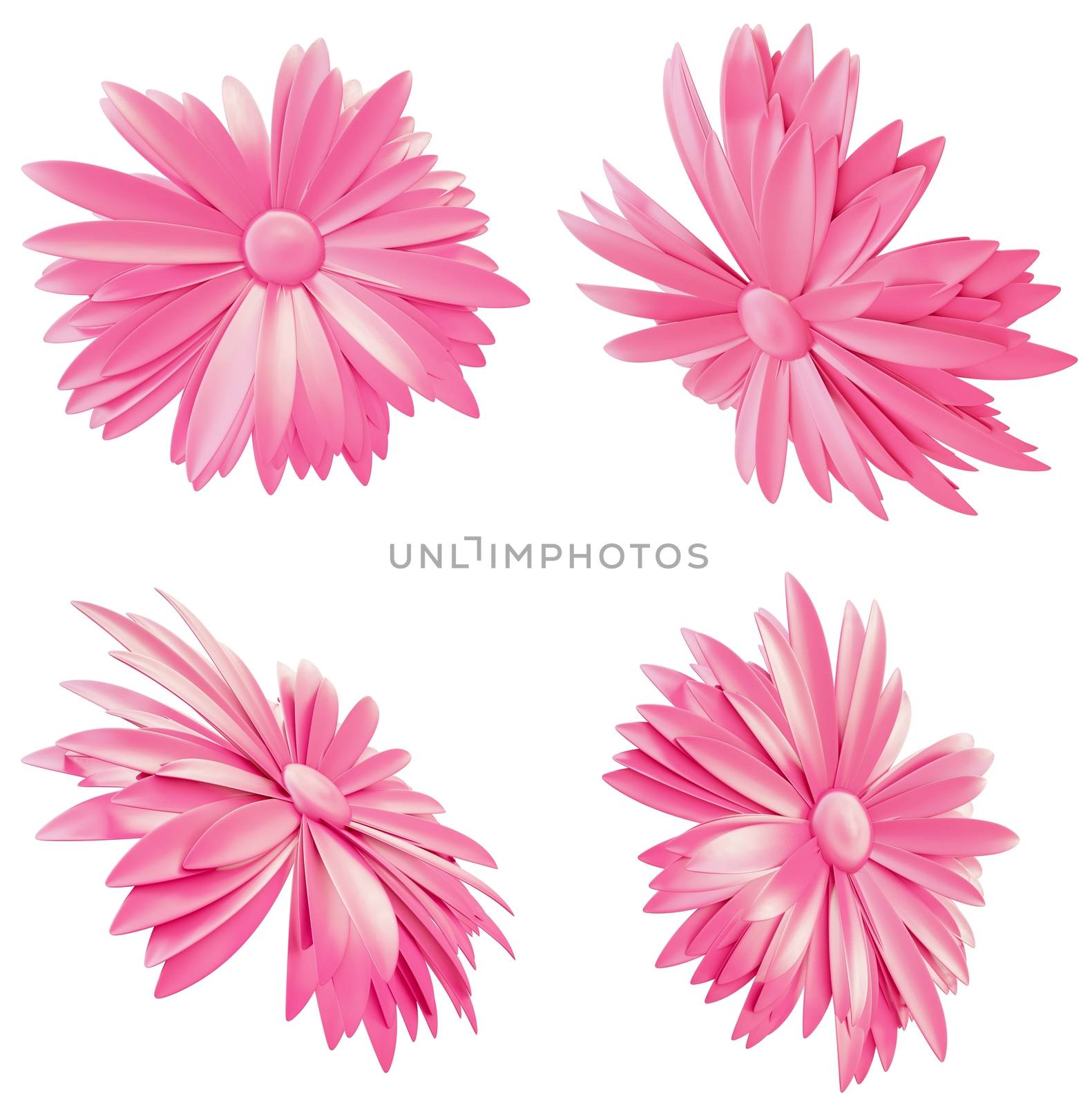 Set of Light Pink Flowers isolated on white background by cherezoff