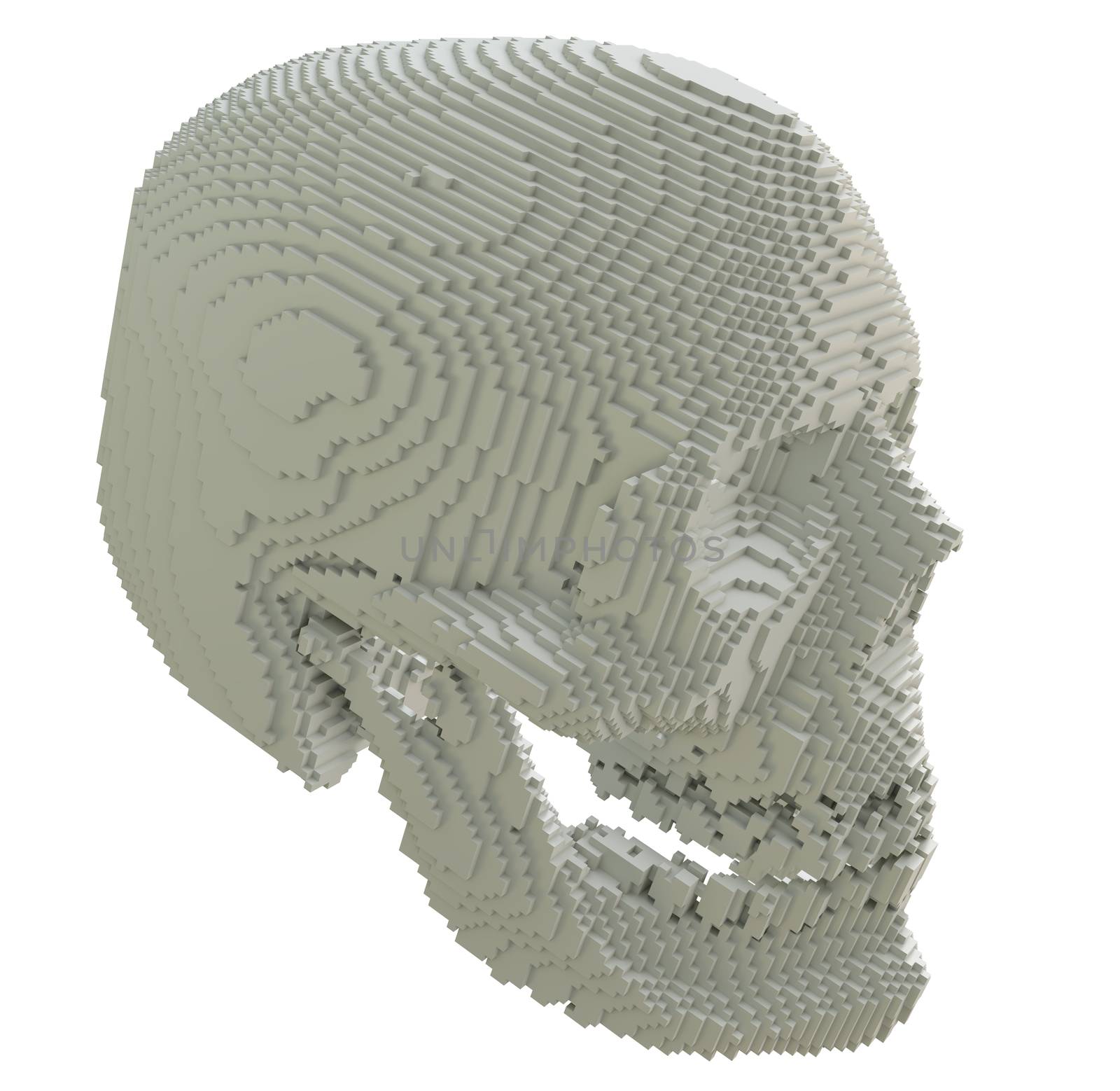 3d printed skull isolated on white background. 3D illustration