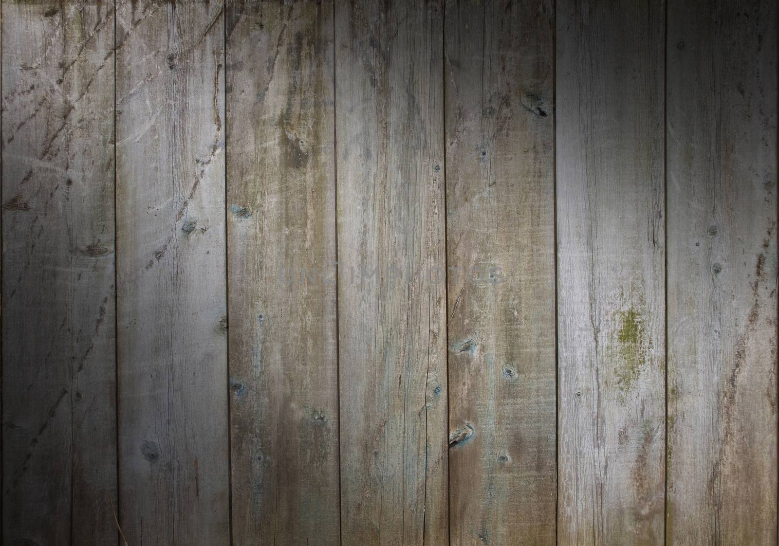 Distressed wooden wall background with weathered boards with scrapes and algae, lit diagonally
