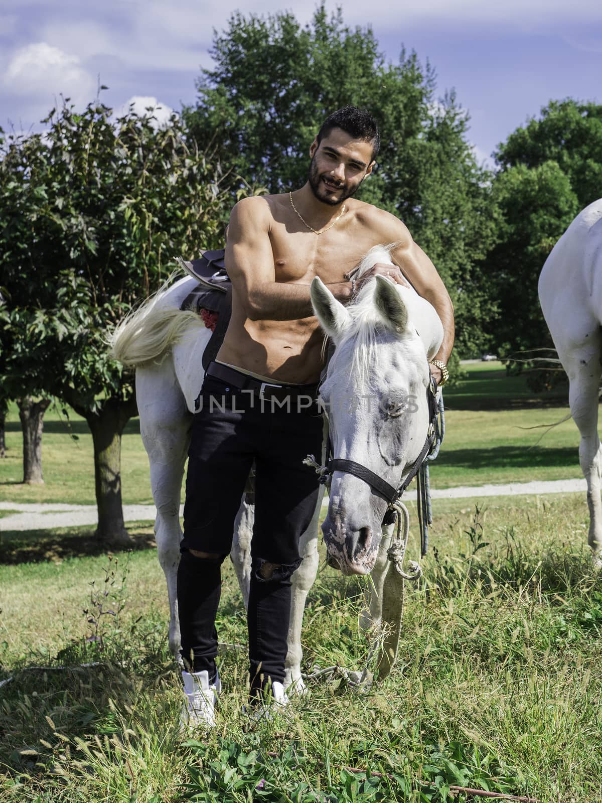 Handsome muscular man without shirt riding horse in natural bright sunlight.