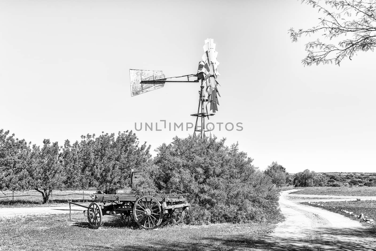 A landscape with windmill and ox-wagon at Papkuilsfontein in the Northern Cape Province of South Africa. Monochrome