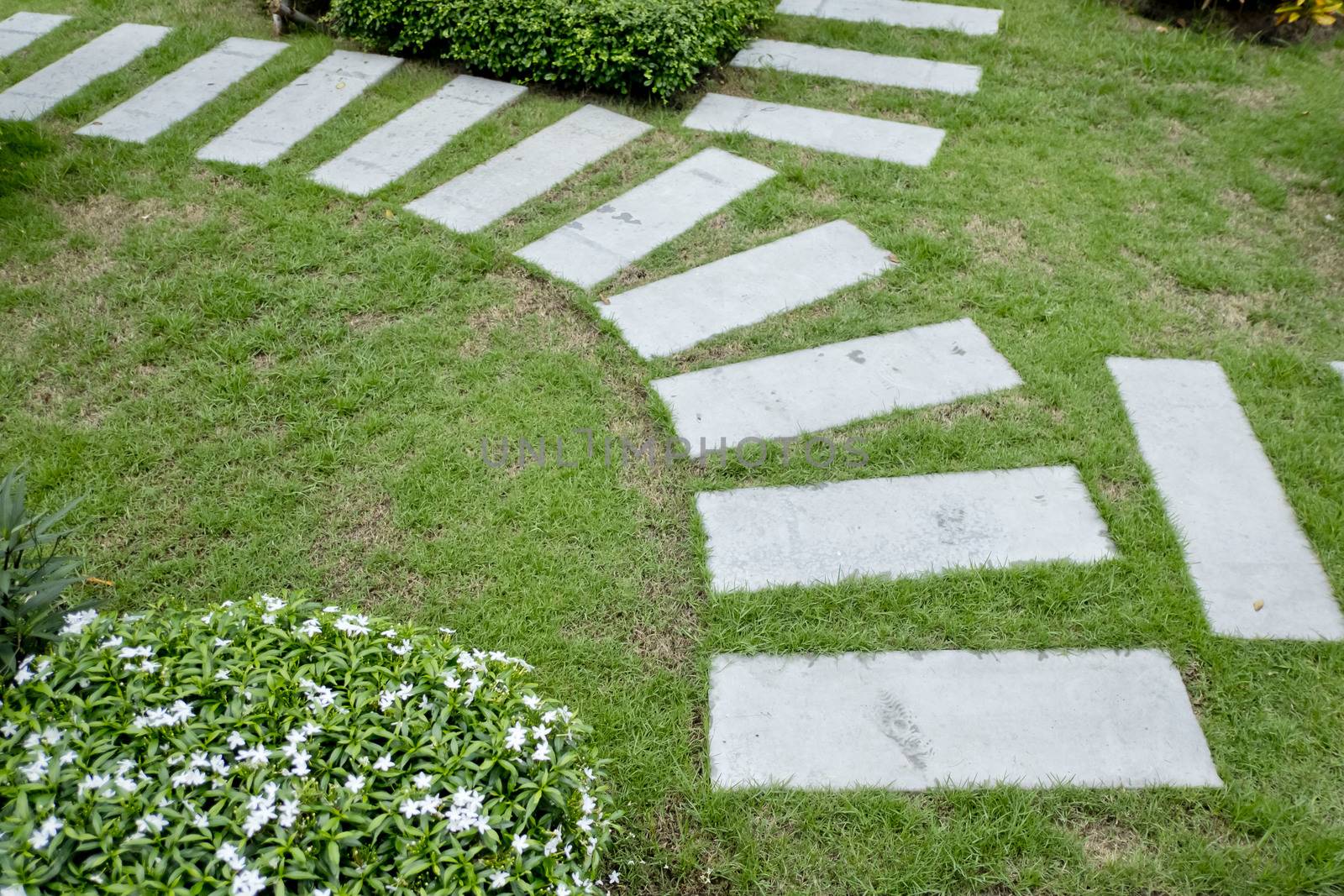 Stone Path in garden