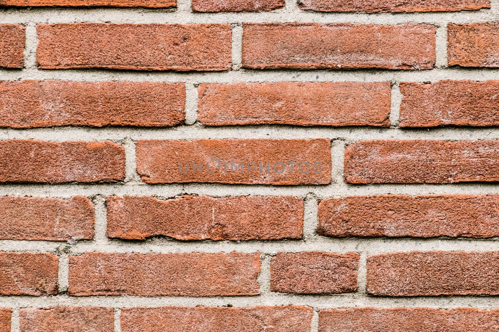 Red brick wall old stones bricks white grey joints by MXW_Stock