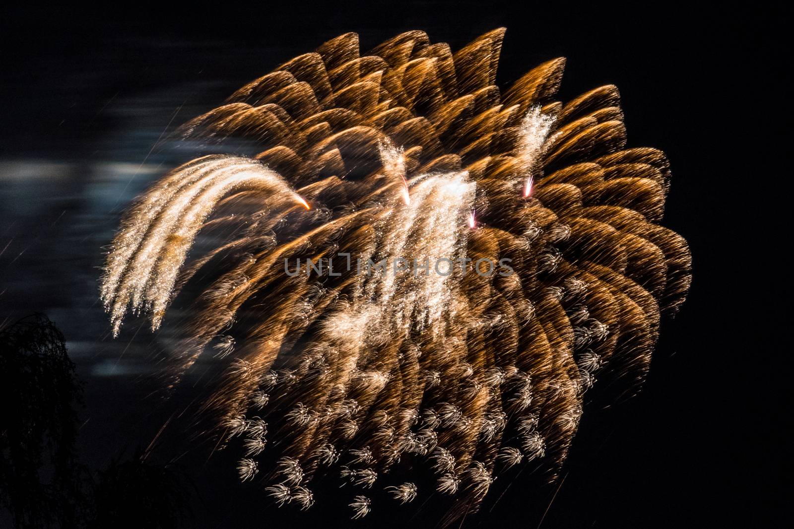 Firework fireworks celebration gold and white tails