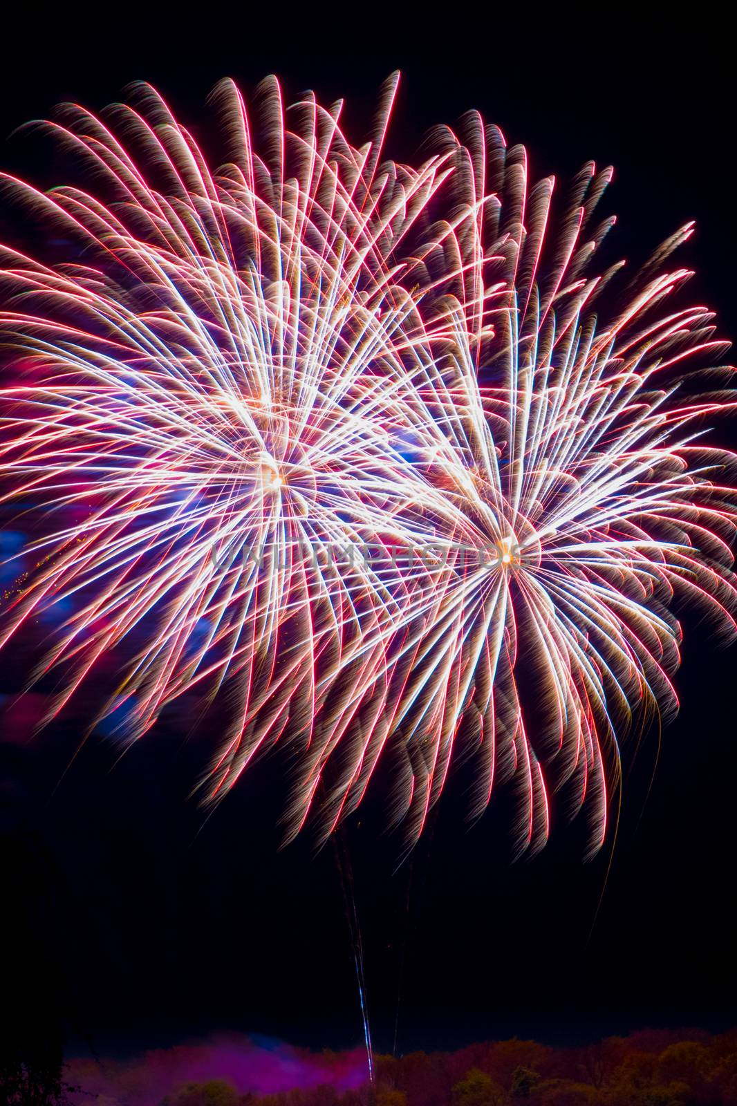 Firework fireworks celebration red blue white tails