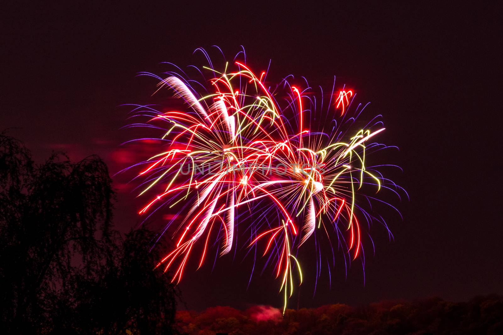 Firework fireworks celebration red purple orange blasts