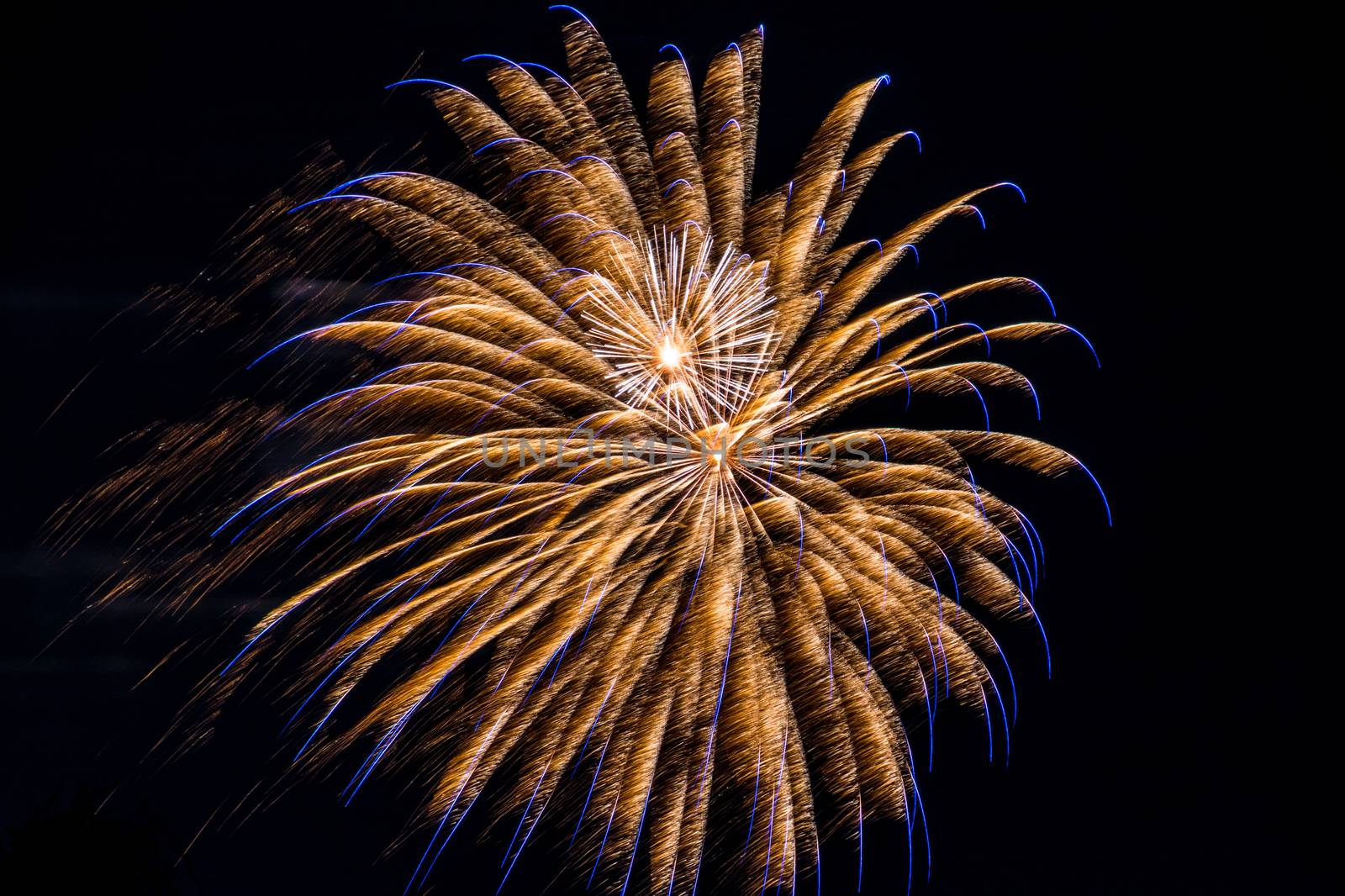 Firework fireworks celebration blue spikes gold white blasts by MXW_Stock