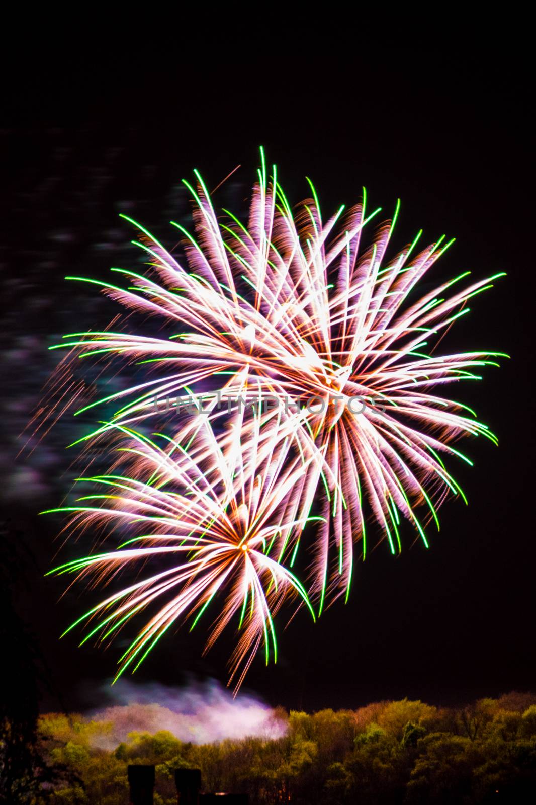 Firework fireworks celebration white purple with green peaks