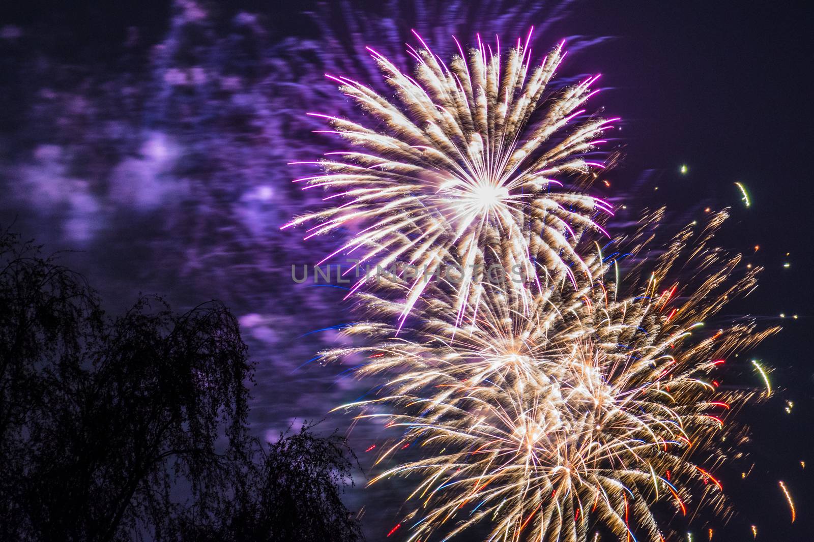 Firework fireworks celebration gold red purple blasts tree by MXW_Stock