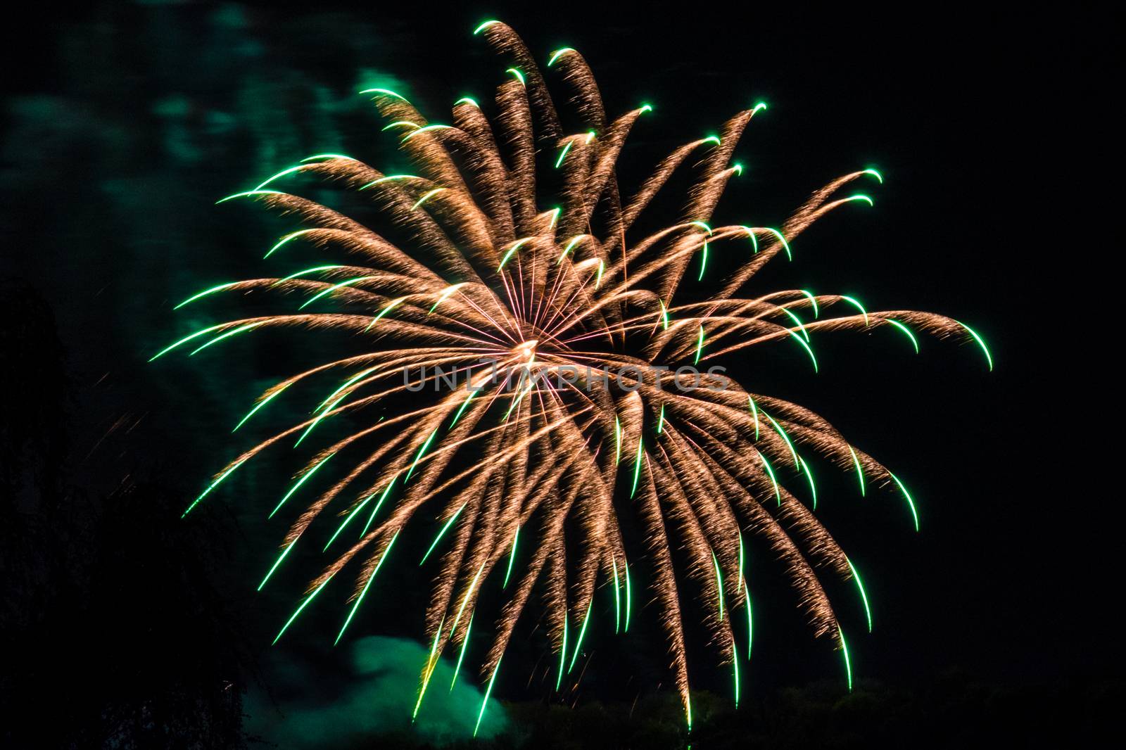 Firework fireworks celebration gold with green peaks by MXW_Stock