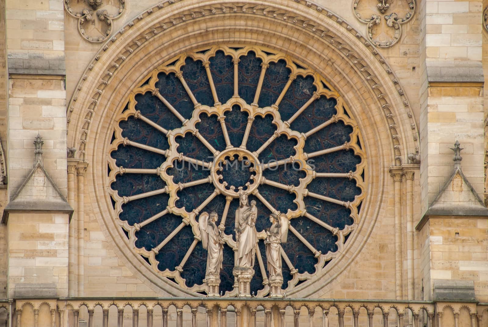 Window of Notre Dame de Paris kathedrale church by MXW_Stock