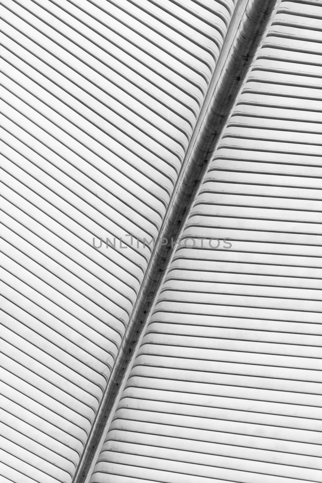 Steel roof structure liege guillemins railway station
