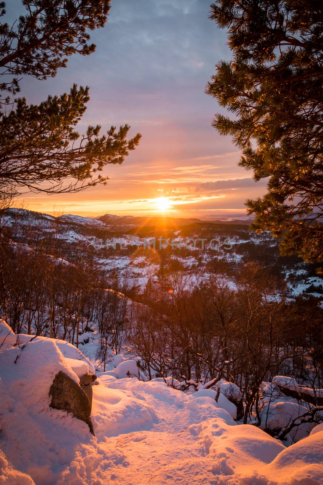 Sunset over snow covered landscape with trees by MXW_Stock