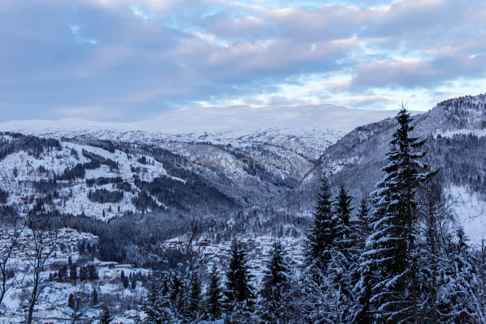 Winter landscape in Norway trees sunset