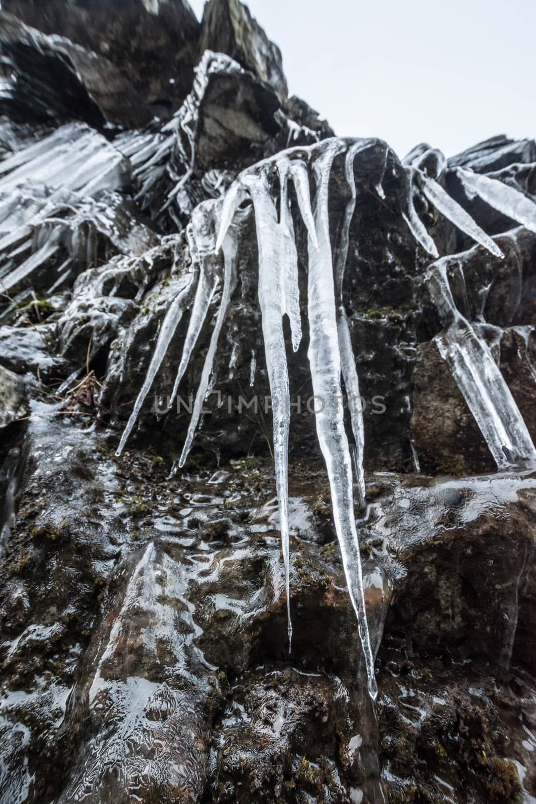 Icicle hanging from rock wall frozen by MXW_Stock