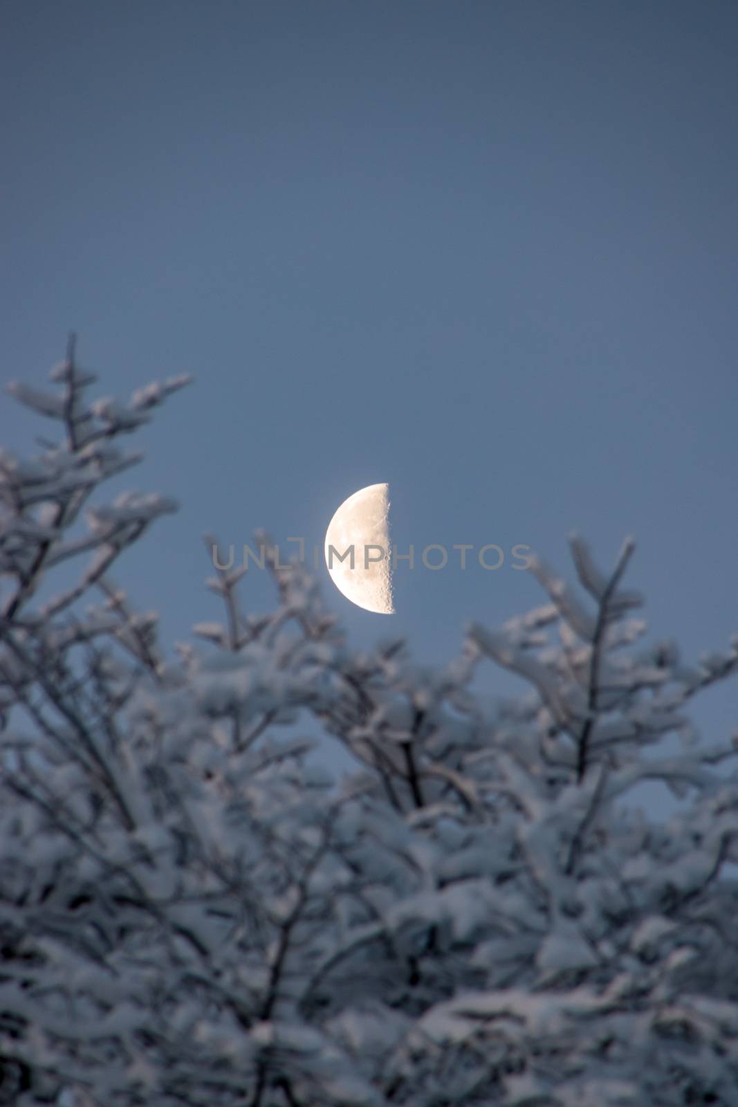 Moon half moon winter snow nightfall