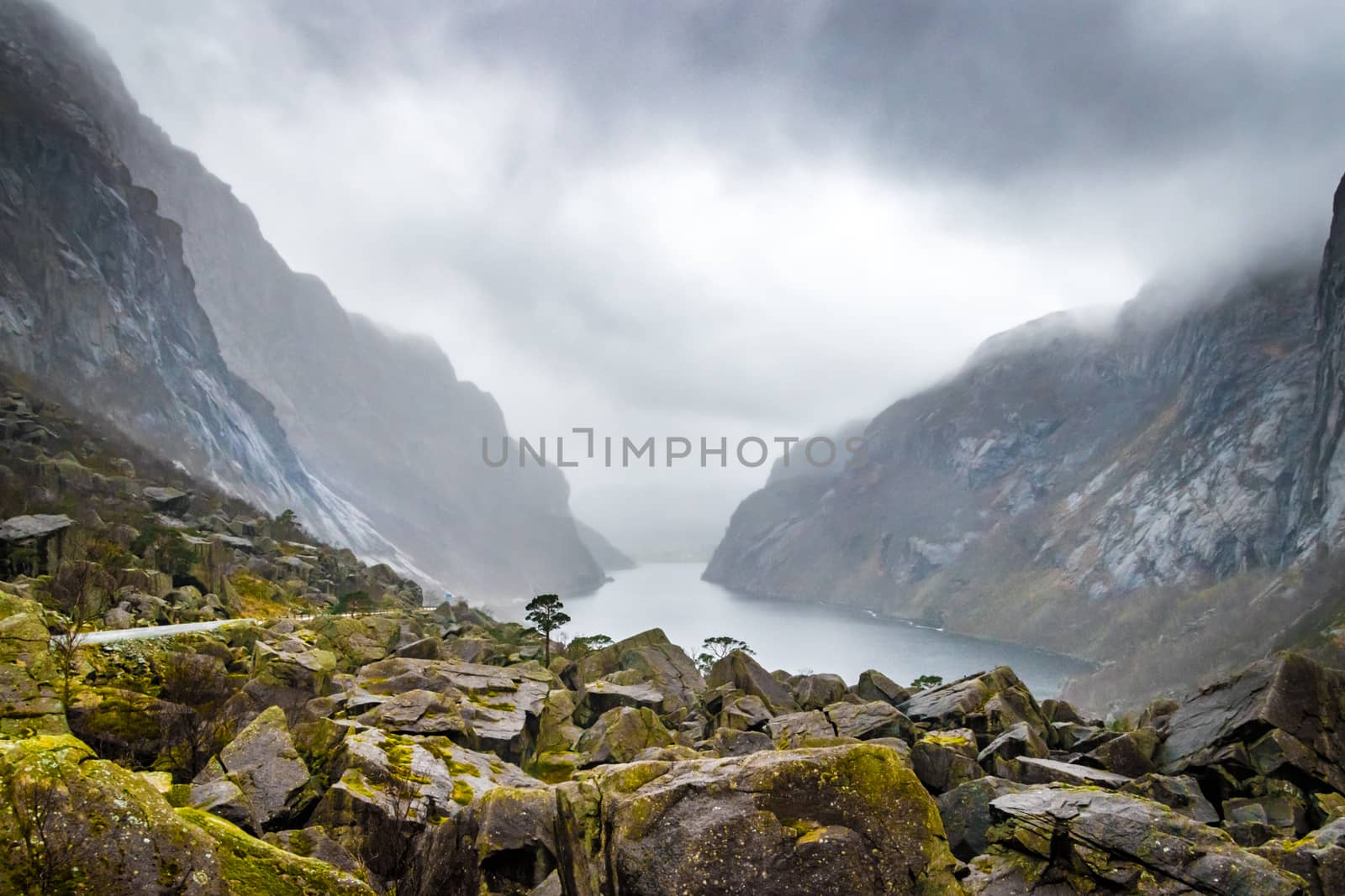 Moss covered green rocks fjord Norway bad weather