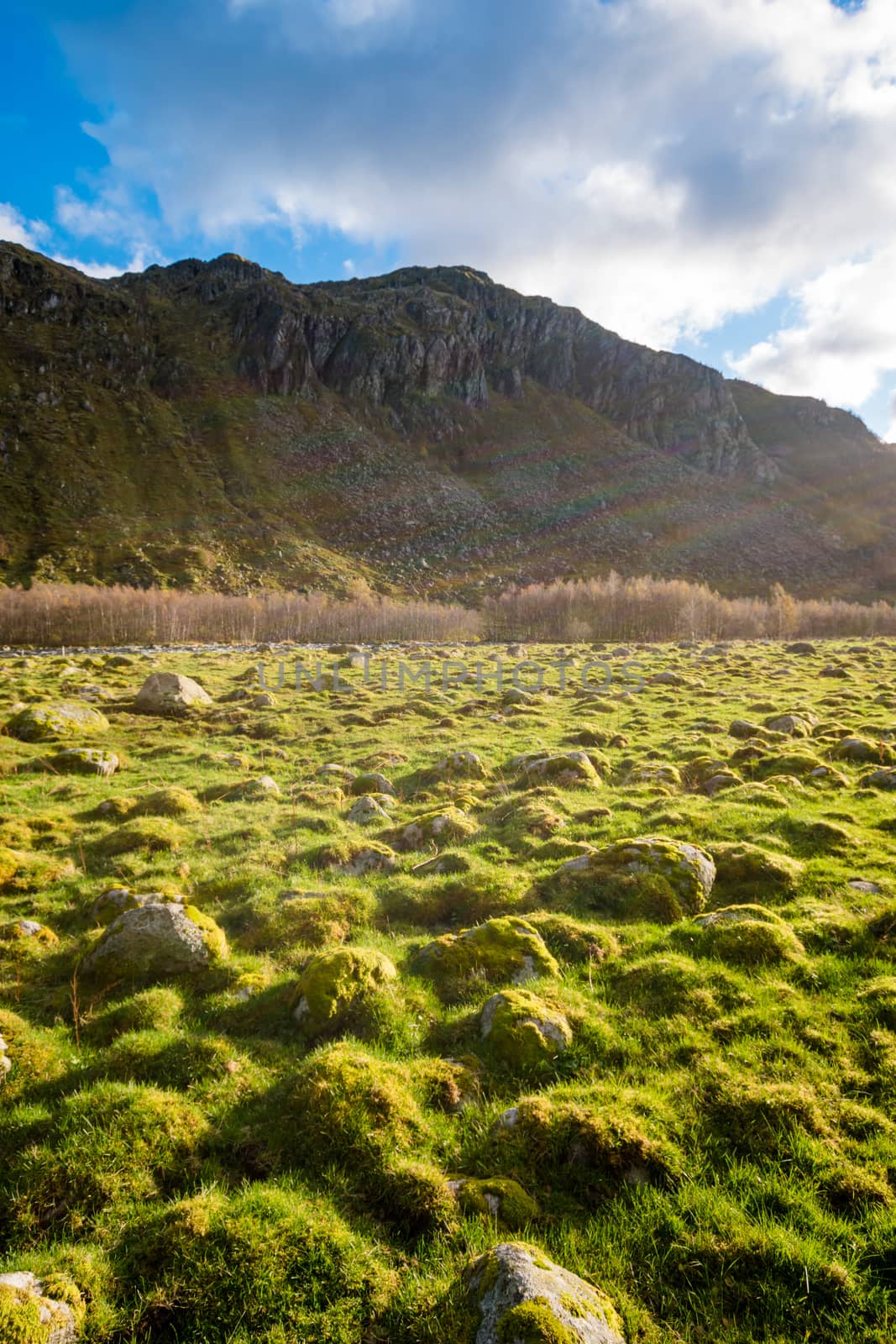 Moss covered rocks in sunlight green by MXW_Stock
