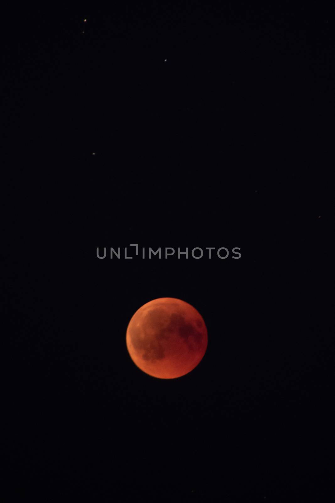Blood moon at its most red moment in black night