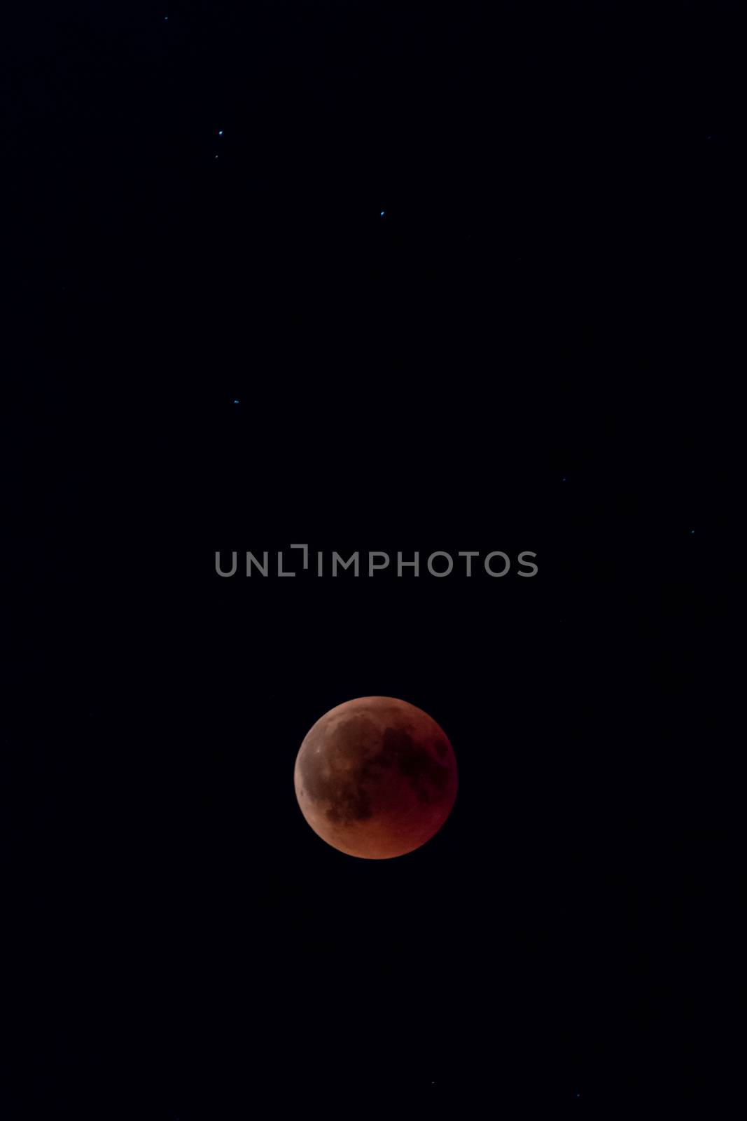 Blood moon at most red moment in black night