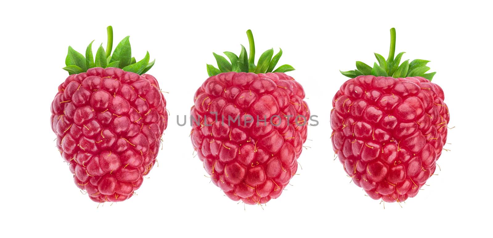 One raspberry isolated on white background, collection by xamtiw