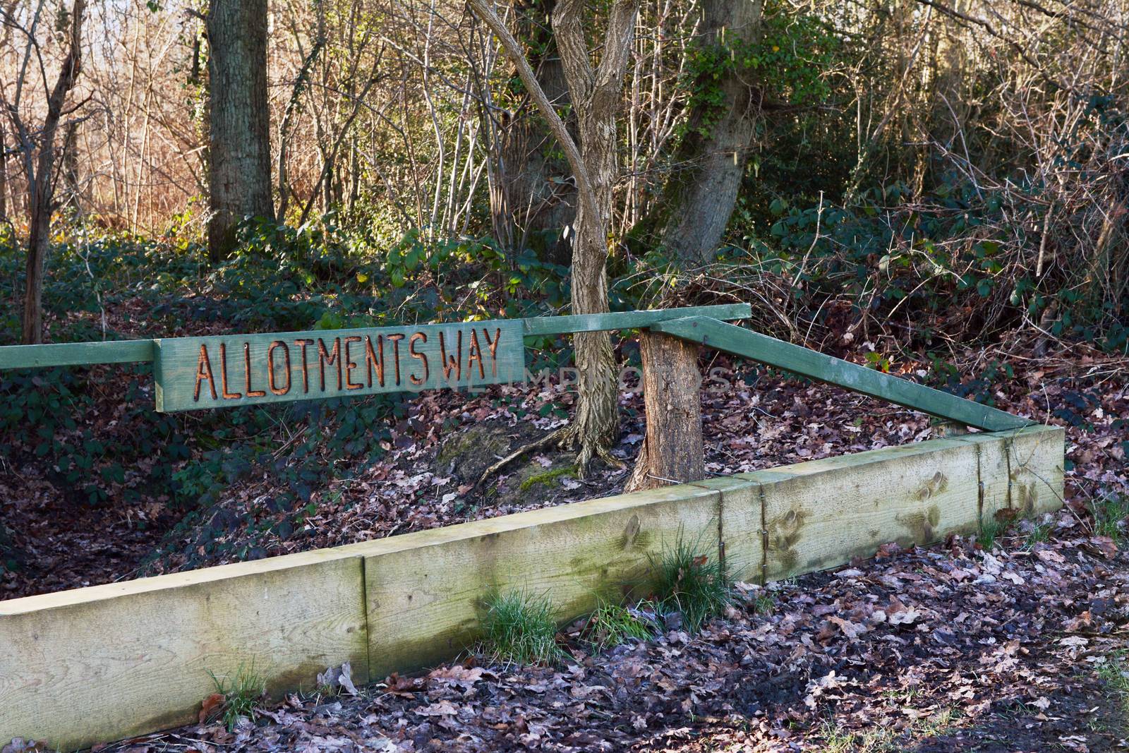 Rustic, carved wooden sign for Allotments Way in a wooded area in winter