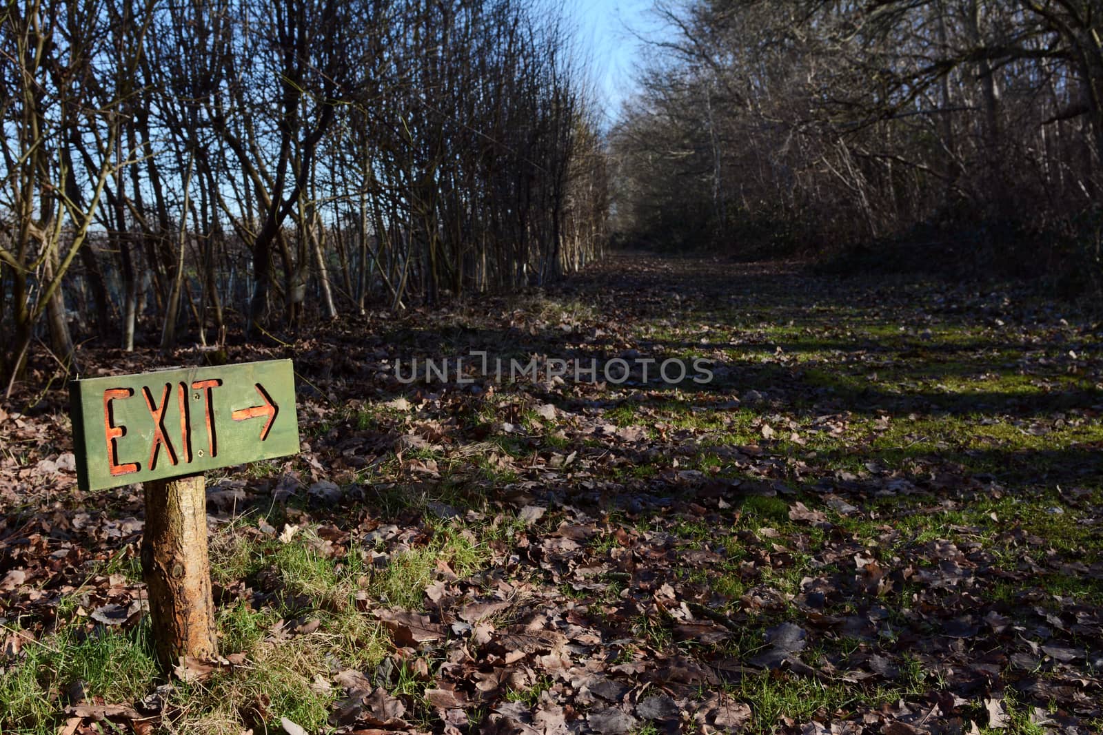 Rustic painted wooden exit sign points down long woodland path between rows of trees