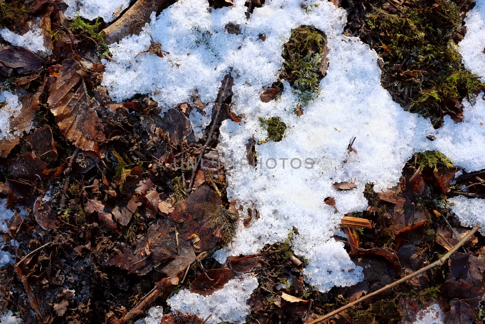 Abstract background of melting snow and ice on a woodland floor covered with dead leaves and green moss