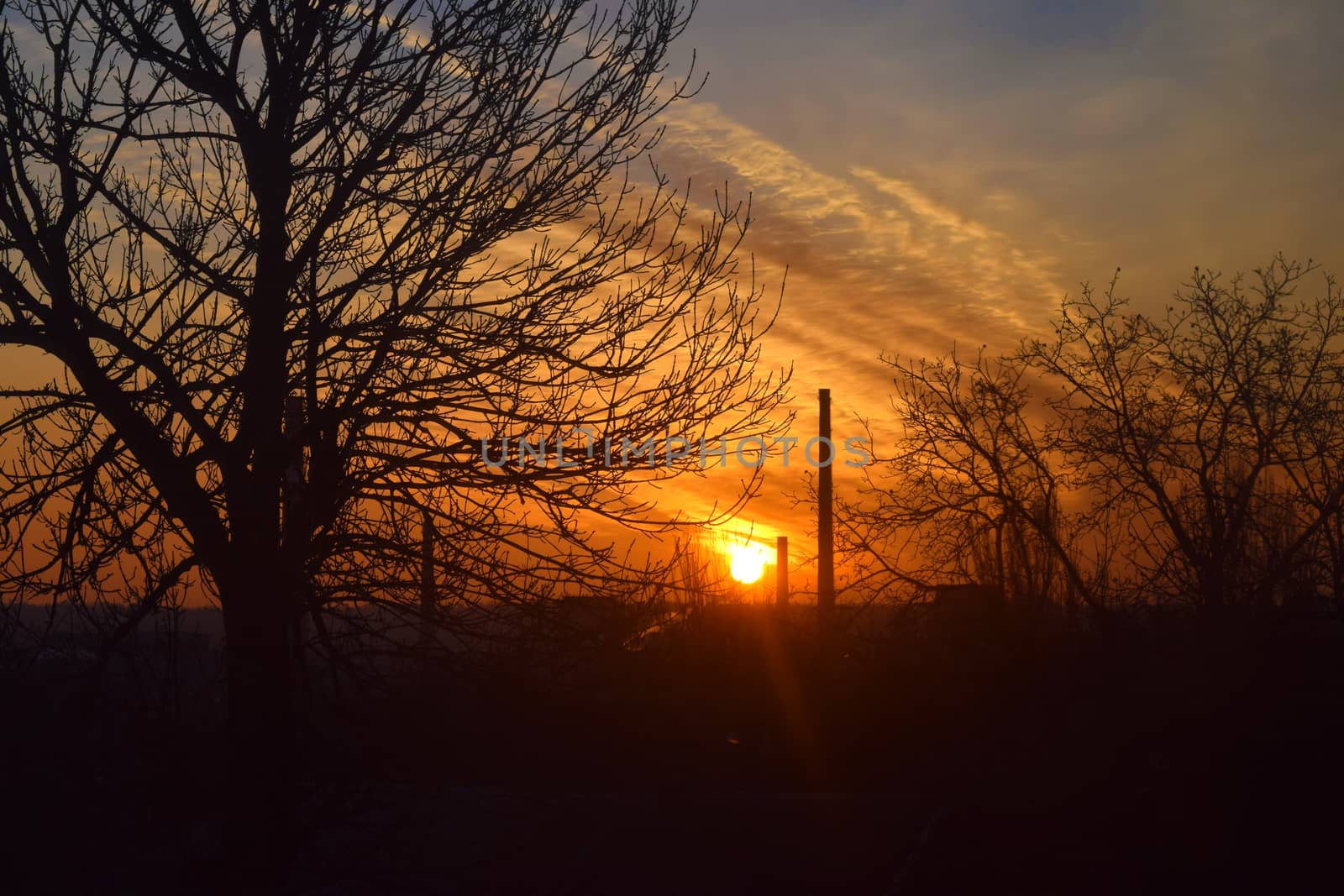 Beautiful natural sunrise in the wild. Beautiful scenery. Orange sky