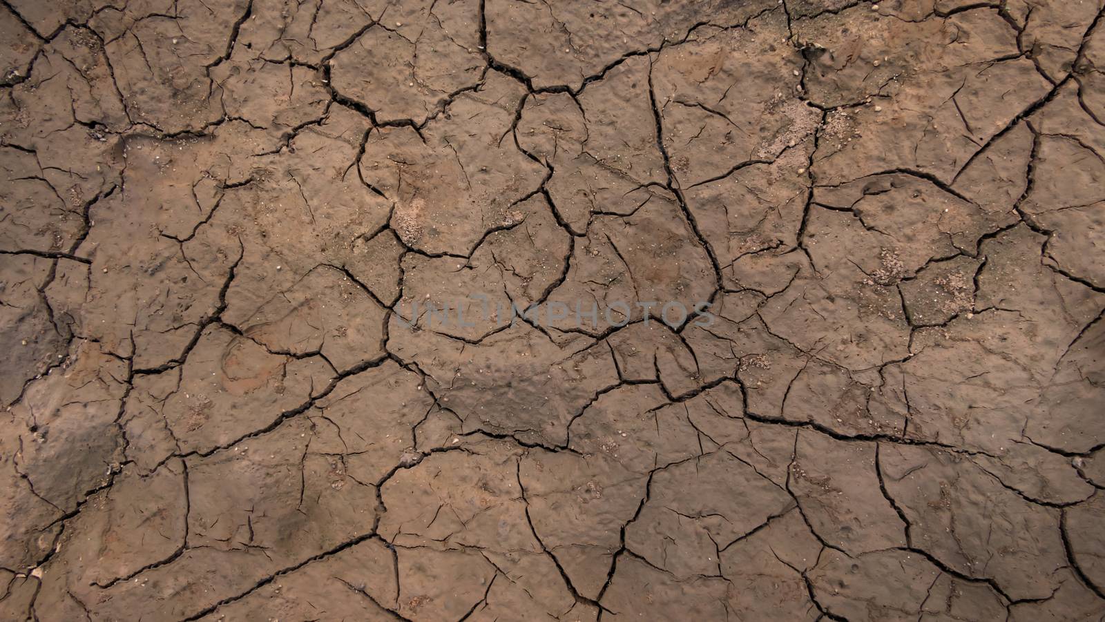 Texture of grunge dry cracking parched earth , Global warming effect