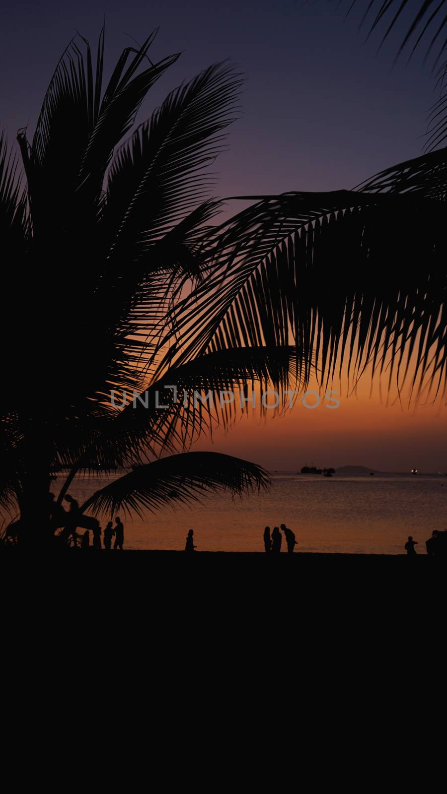Silhouette of people on tropical beach at sunset - Tourists enjoying time in summer vacation - Travel, holidays and landscape concept - Focus on palm tree - vertical