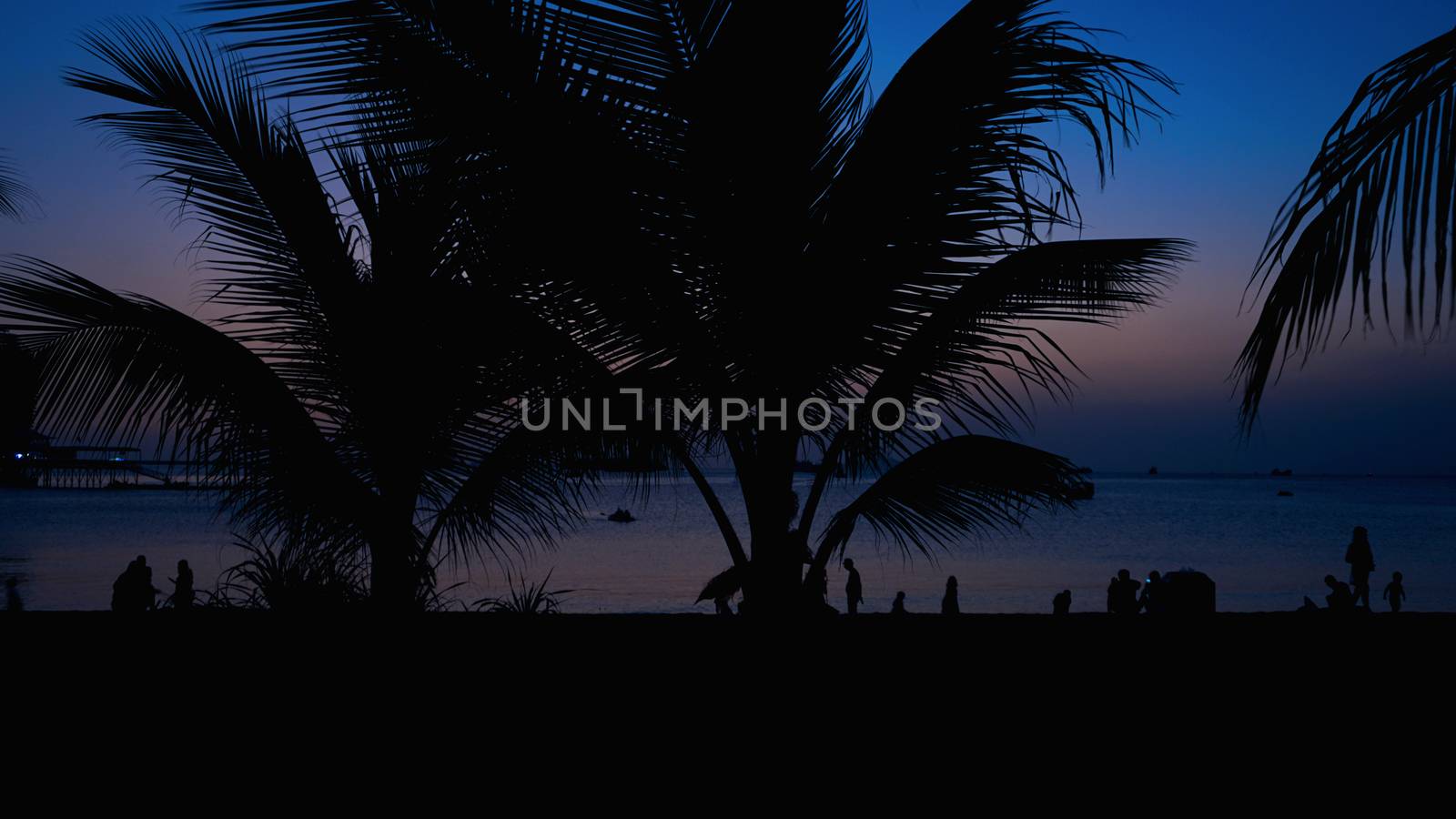 Silhouette of people on tropical beach at sunset - Tourists enjoying time in summer vacation - Travel, holidays and landscape concept - Focus on palm tree - blue color