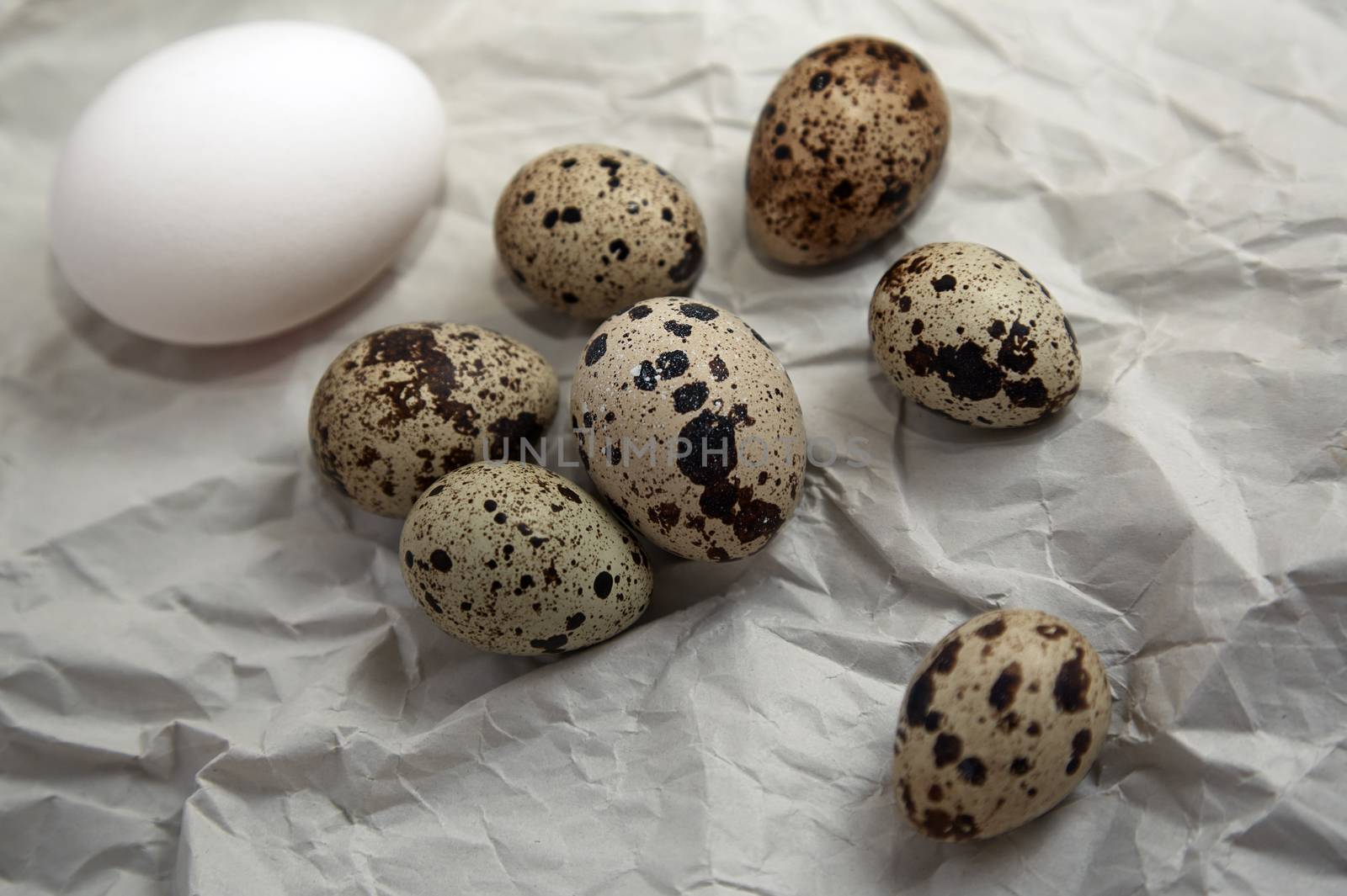 Chicken and quail eggs on a wrapping paper