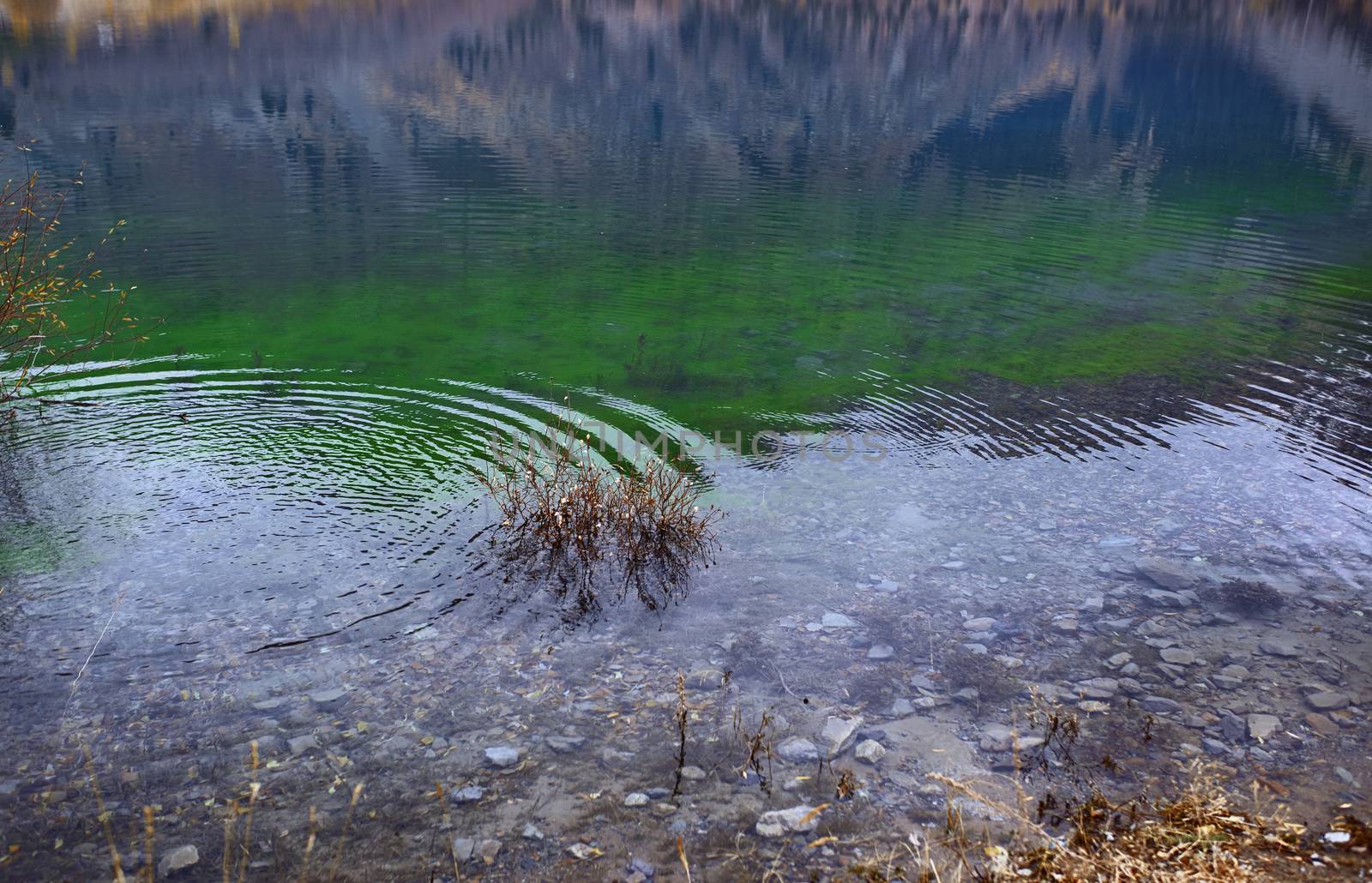 Ripples on the water in mountain lake by Novic