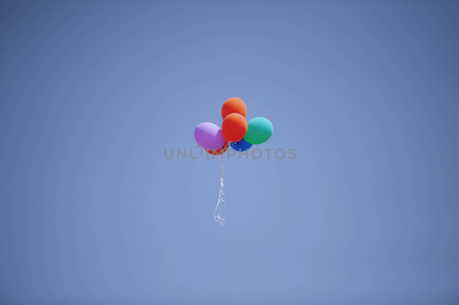 Colorful balloons flying in the sky