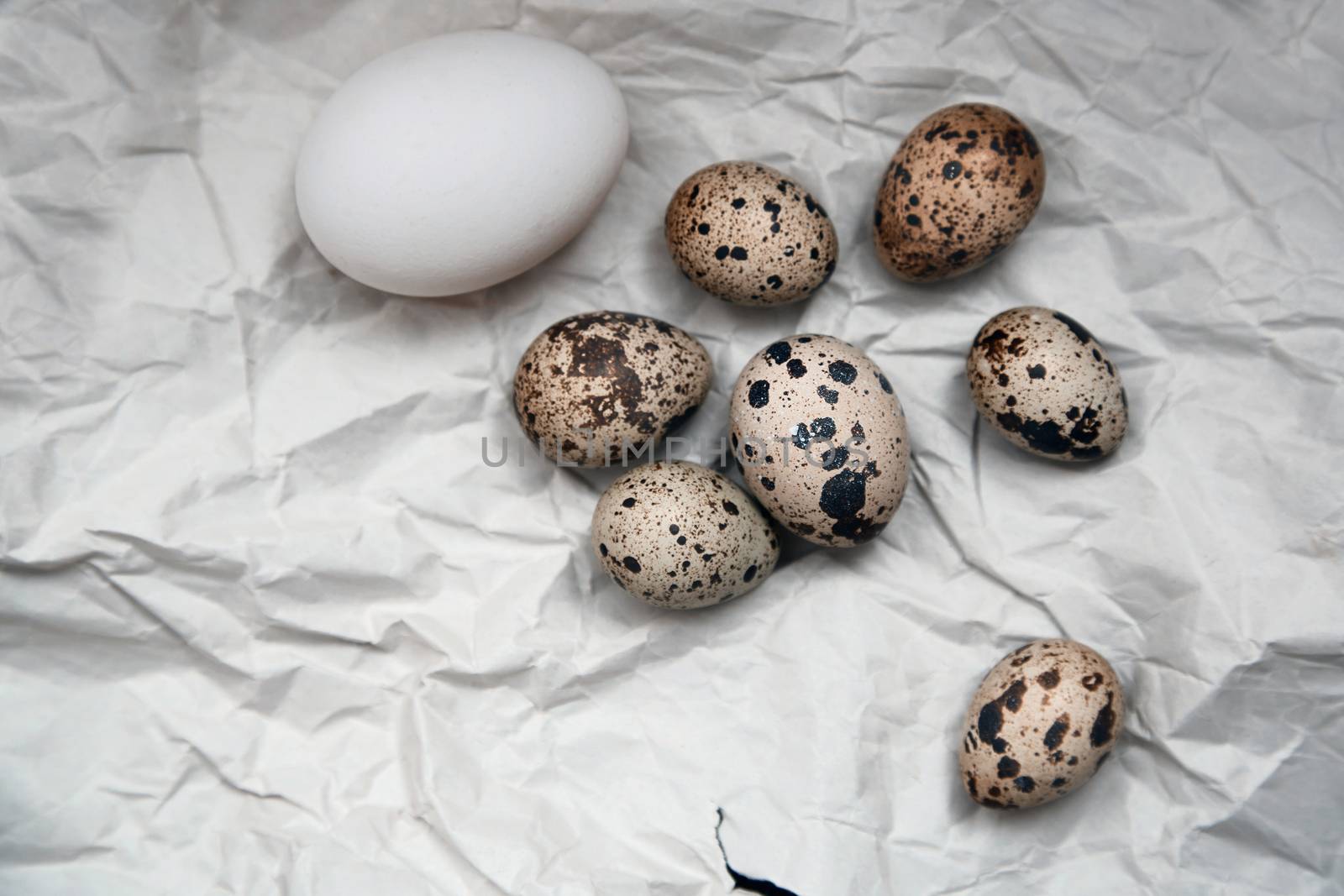 Chicken and quail eggs on a wrapping paper