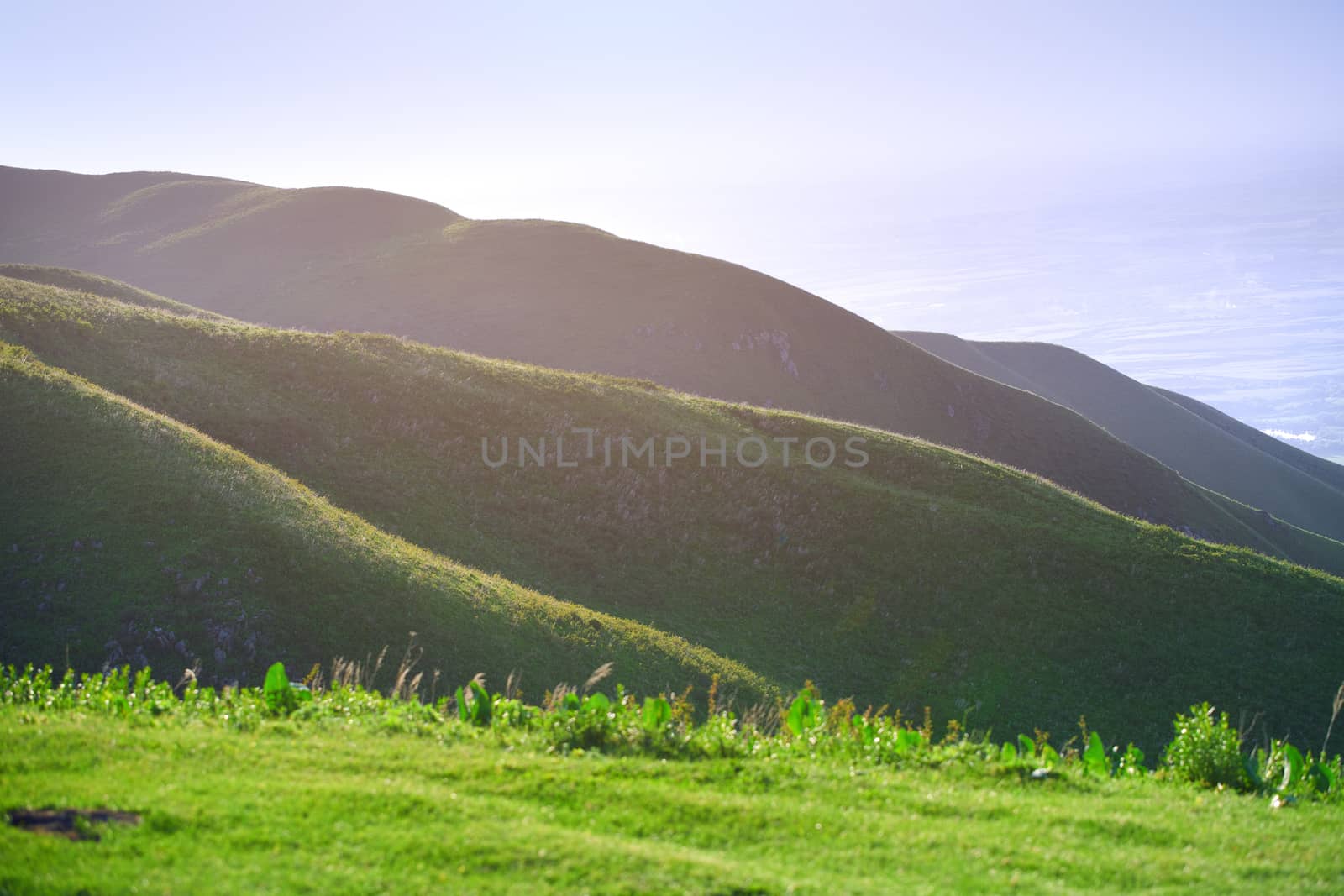 Green hills landscape in England, UK by Novic