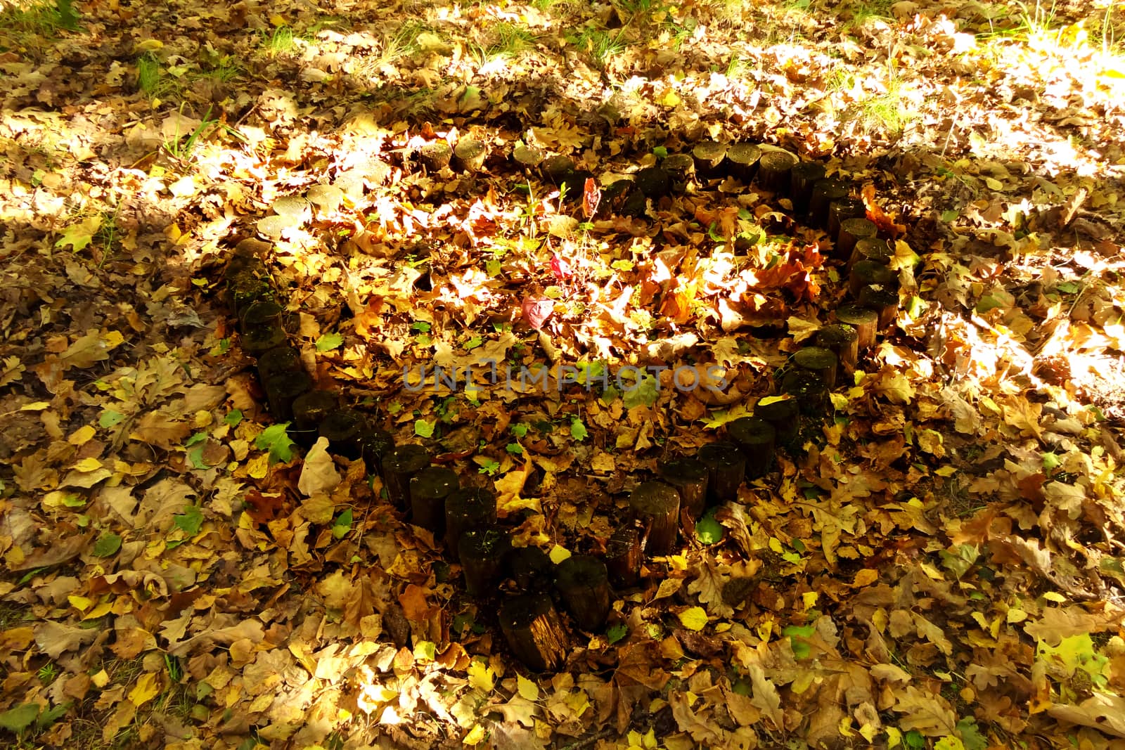 Colorful heart on autumn leaves in the park