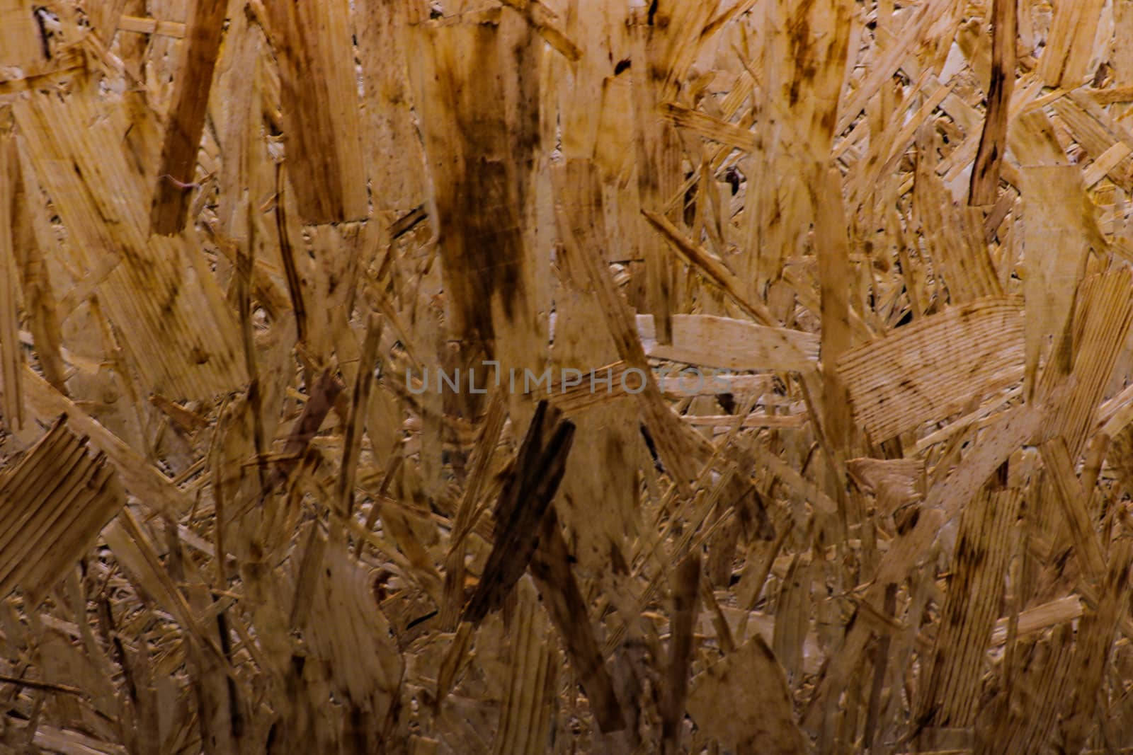 Sheet of plywood with fragments of compressed sawdust