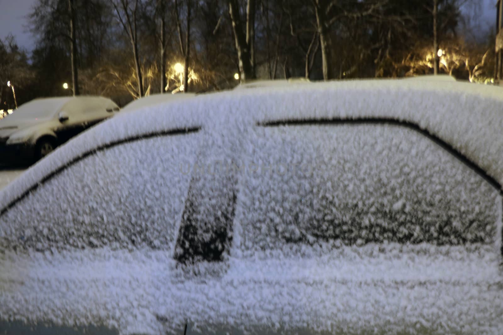 Cars covered with fresh white snow