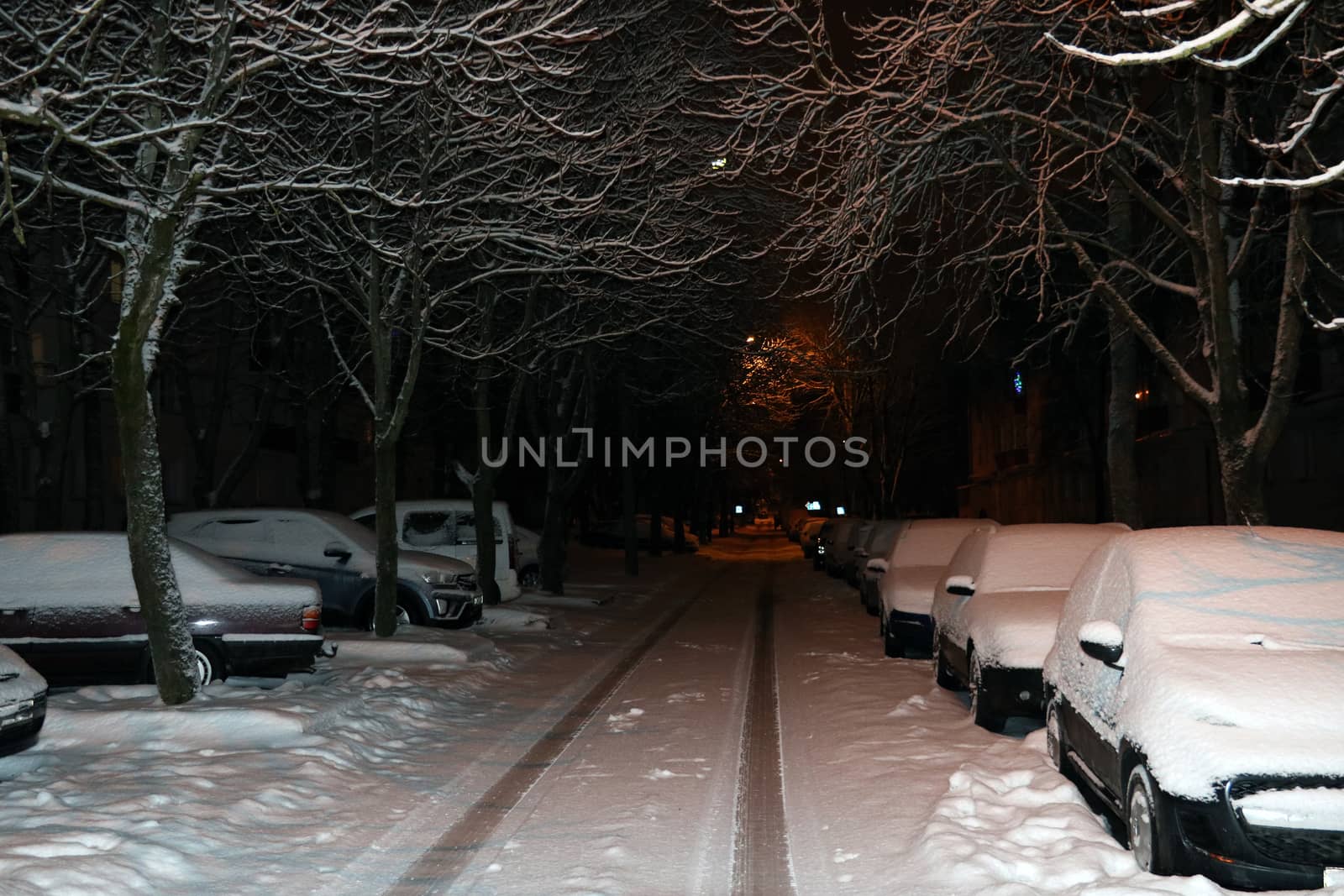 Parked cars covered with snow - snow storm