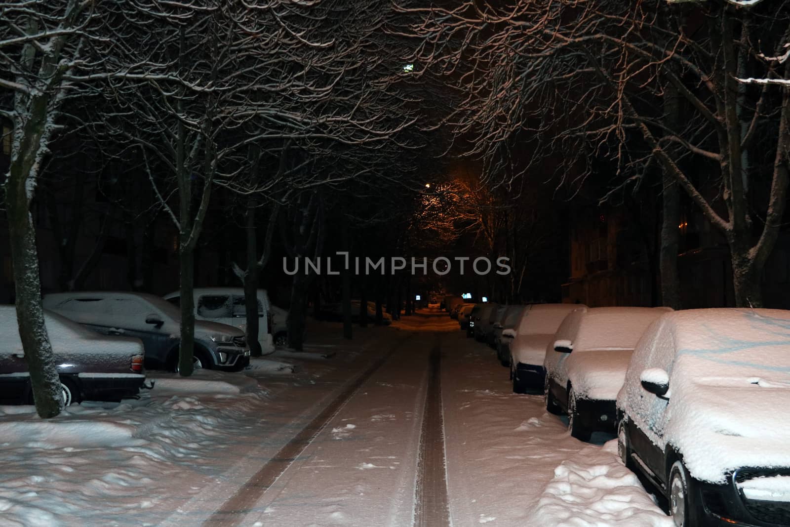 Parked cars covered with snow - snow storm