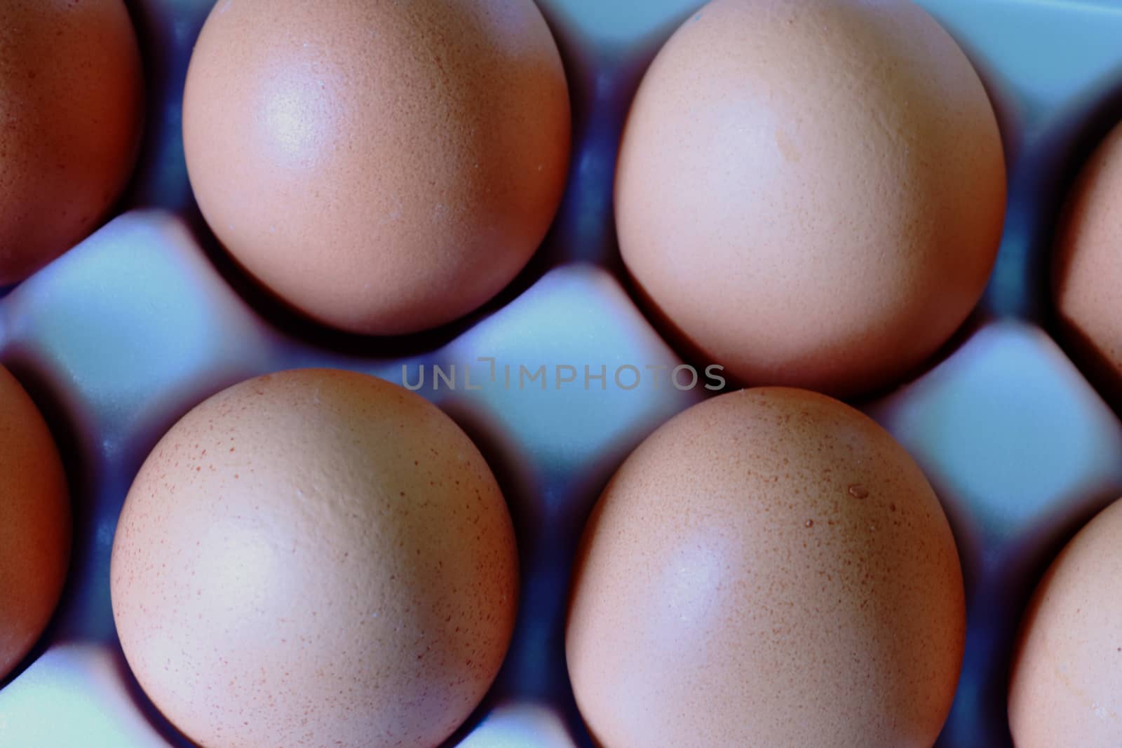 Yellow chicken eggs in a carton with empty space, background