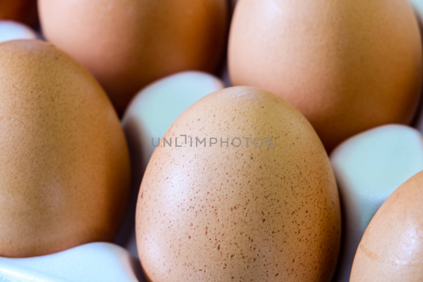 Yellow chicken eggs in a carton with empty space, background. by kip02kas