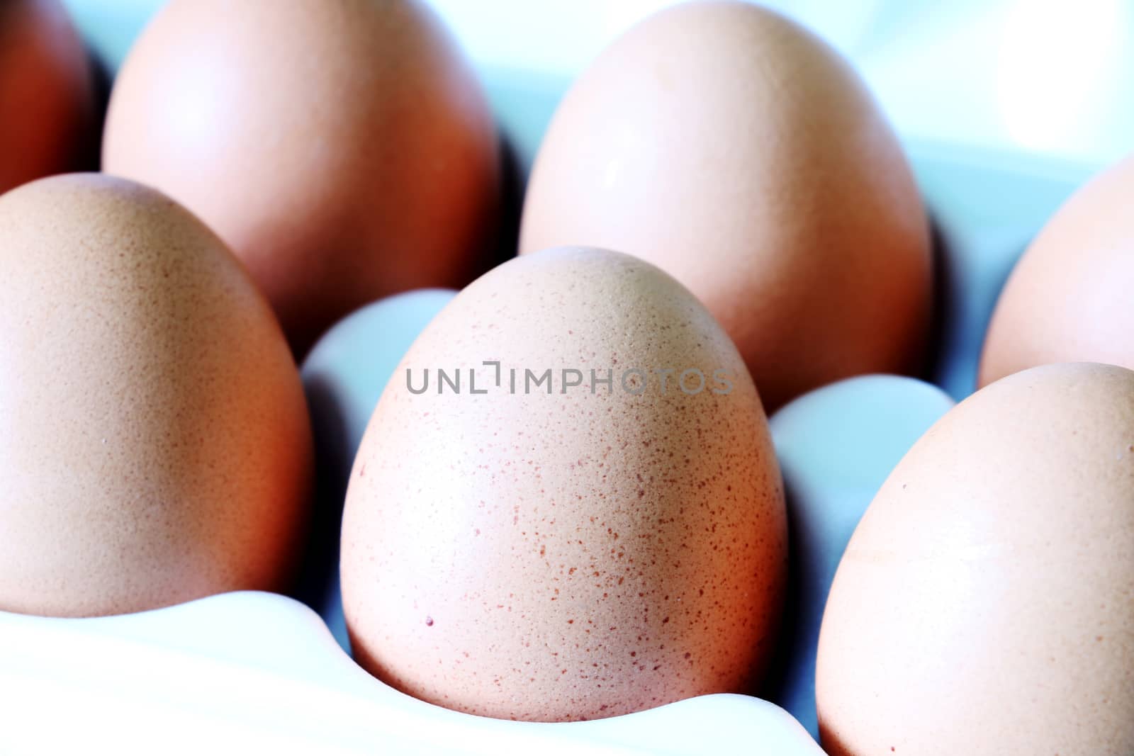 Yellow chicken eggs in a carton with empty space, background